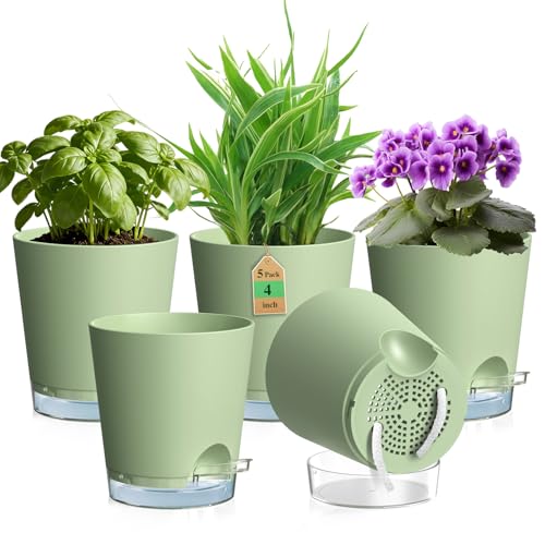 WSMKSZ 10 2 cm Selbstbewässerungstopf 5er Set Plastik Blumentöpfe mit Abflusslöchern und Transparentem Wasserreservoir Sichtbarer Wasserstand Pflanztöpfe mit Baumwolldocht für Zimmerpflanzen Grün