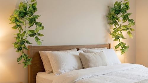 Image of Dekorly 2 Pack Artificial Plants Artificial Hanging Plants Faux Eucalyptus Leaf Greenery Fake Hanging Eucalyptus Plant (Green) (2, Yellow Money Plant Vines)