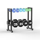 Verstellbarer 2-stufiger Hantelständer, 120kg Tragfähigkeit, Kompakter Heimfitness-Organizer für Hanteln, Kettlebells, Gewichtsscheiben (Nur Ständer)