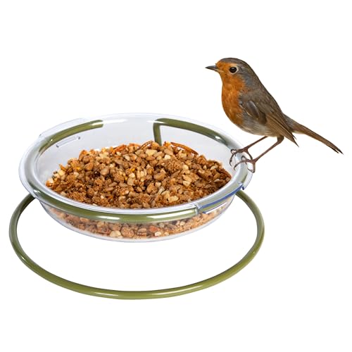 Garden Feeder Tray - Mealworm And Robin Bird Feeder Jacobi Jayne® I Love Robins™ Easy Clean Treat Dish Ground Bird Feeder - Robin Feeders For The Garden
