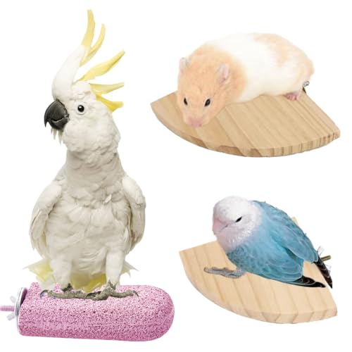 Maiitmor 爪とぎ ステップ とまり木 スタンド インコ ハムスター 小鳥 モモンガ セット (ピンク)