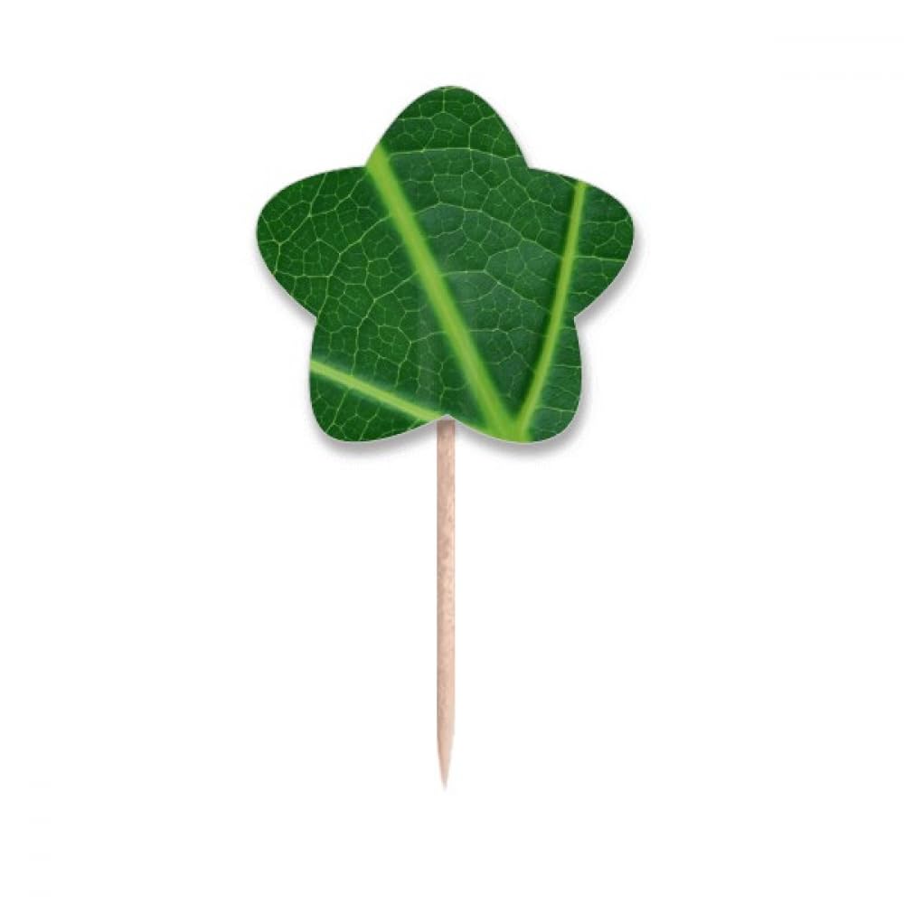 Cure-dents illustration nature vert foncé pour apéritifs chics