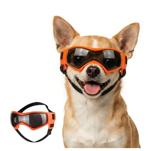 Namsan UV-Schutzbrille für kleine Hunde