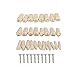 28 PCS/Bag Simulation Tooth Model for Preparation Teaching Studying