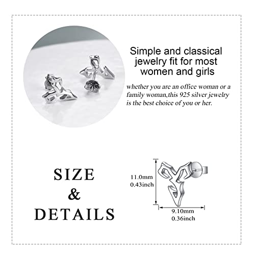 Final Fantasy X Earrings 925 Sterling Silver Tidus Zanarkand Abes Stud Earrings Jewelry Gifts for Women4