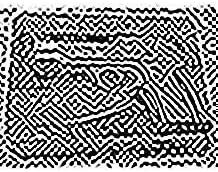 Nintendo Wii Pistol Grip Gun Blaster