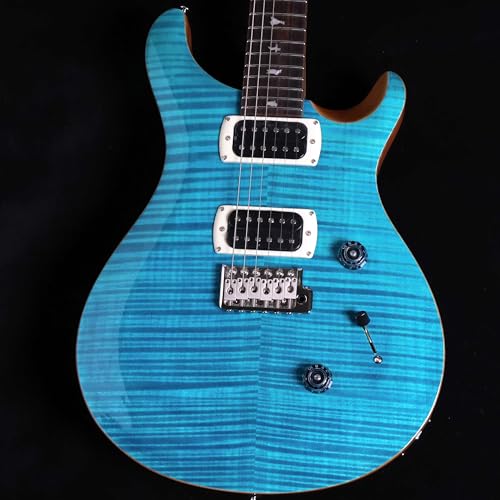 SE Custom24 Blue Matteo Natural Back