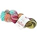 Produktbild Lana Grossa MEILENWEIT Merino 100 Hand-Dyed 407 - Ganga