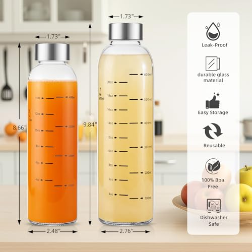 weasland Glass Juice Bottles with Lids Set of 2, 17 oz Reusable Glass Water Bottles with Stainless Steel Caps, BPA Free,Leak Proof,Dishwasher Safe,for Refrigerator, Juicing, Iced Coffee, Cold Brew