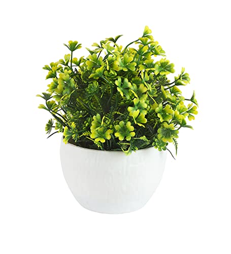 Image of Foliyaj Artificial Yellow Daisy Plant with Pot | Place This Faux Plant on Shelves, Desks, Side or Center Tables to Decorate Your Home or Office | Fake Plants for Interior Decoration