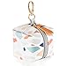 Accmor Pacifier Case with Clip, Baby Pacifier Holder Pouch Box for Diaper Bag, Holds 2 Pacifiers for Travel Outdoor Activities, Small Baby Utensils,Colorful Stone