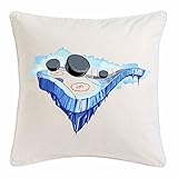 Eishockey – Kissenhülle 40x40 cm Baumwolle – Eishockeypuck Eishockeymannschaft Sport – Sofakissen Modern