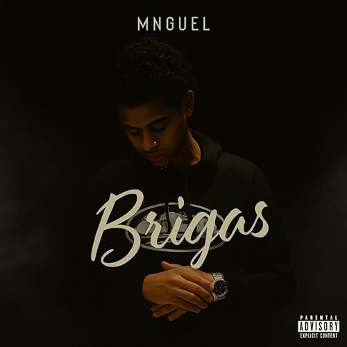  Brigas