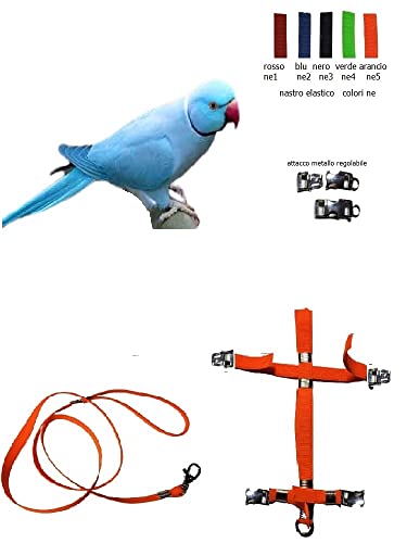 Arnés para periquitos elástico ajustable con collar negro y dos enganches de acero 7