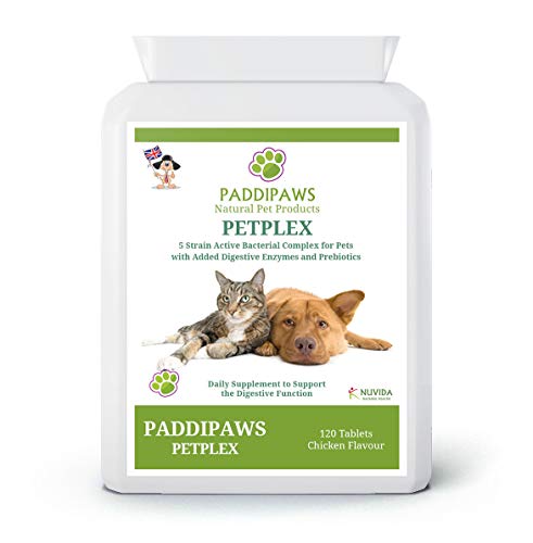 PaddiPaws Probiotic & Digestive Enzyme Tablets for Dogs & Cats – 5-Strain Live Cultures with Prebiotics – Supports Healthy Digestion, Gut Balance & Skin – Chicken Flavoured