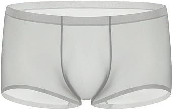 Mens Ultra-Thin Low-Rise Sheer Underwear See Through Sexy Trunks Soft Breathable Transparent Stretch Boxer Brief
