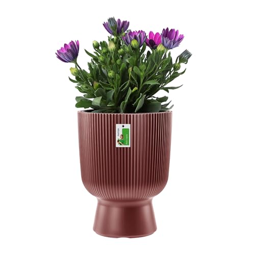 Prosperplast Milly Designer-Blumentopf Modernes Zylinderdesign inkl. Pflanzeinsatz, für Innen- und Außenbereich, Frostbeständig, Hitzebeständig und UV-strahlenbeständig (Marsala, ⌀ 390 mm)