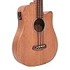 25" Fretless Acoustic-Electric Micro Bass by Gold Tone #1