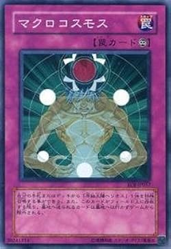 41Wkj9MXMlL._UX250_SCLZZZZZZZ_.jpg