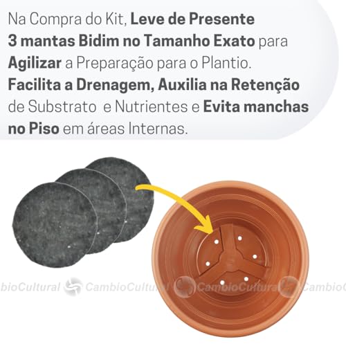 Kit para Plantas 3 Vasos Cuia Grande N30 com Correntes Pratinhos Ganchos e Manta Cor:Marrom