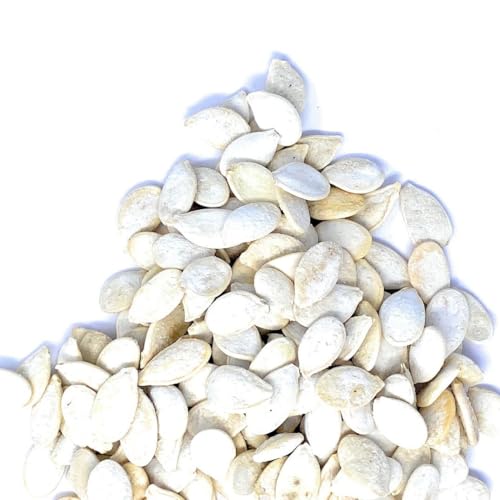 Il Contadino - Antichi Sapori | SEMI DI ZUCCA TOSTATI E EXTRA SALE | Confezione Salva Freschezza, Tostatura Frequente, Frutta Secca di Qualità Premium, No Conservanti, Sale Extra (500g)