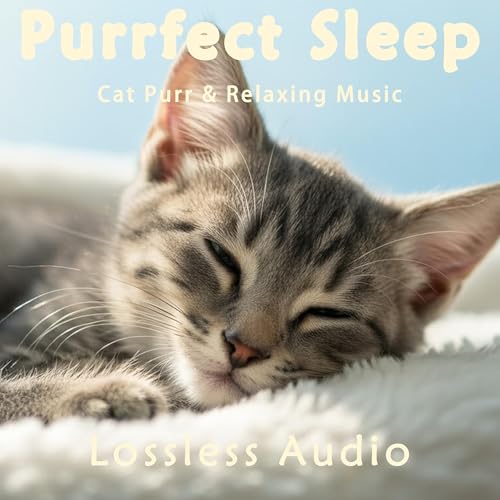 8 小时 - 清晨自然冥想｜平静放松瑜伽音乐｜猫咪呼噜声助眠｜深度放松｜完美睡眠