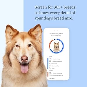 Wisdom Health Panel Breed Discovery Dog DNA Kit: Most Accurate Dog Breed Identification, Test for 365+ Breeds, MDR1 Health Test, Ancestry, Relatives Wisdom Health Panel Breed Discovery Dog DNA Kit Most Accurate Dog Breed Identification Test for 365 Breeds MDR1 Health Test Ancestry Relatives
