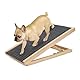 NEWFUN Hunderampe Sofa, Haustiertreppe für kleine Hunde und Katzen, ausgestattet mit rutschfesten Matten, geeignet für niedrige Sofas, höhenverstellbar von 30 bis 40 cm