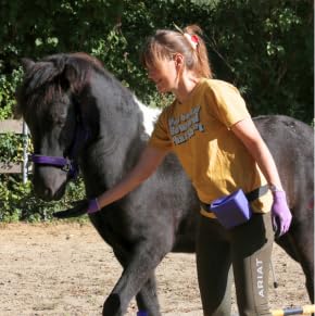 Caroline Ritter on Horse Training, Cognitive Science, and Somatic Learning [Episode 65]