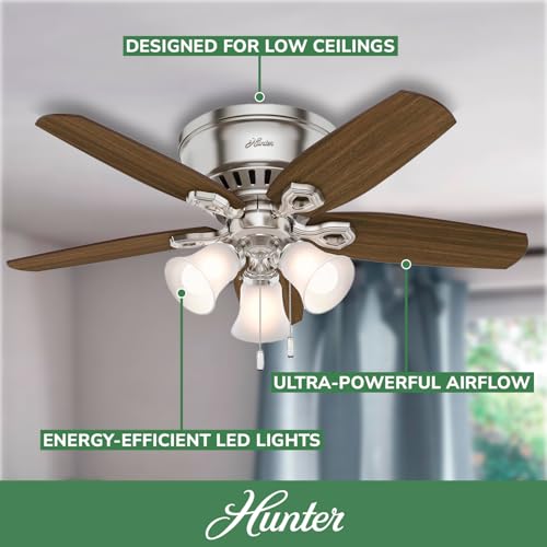 Image of Hunter Builder, Indoor, Ceiling Fan, Pull Chain, 42 inch, Brushed Nickel