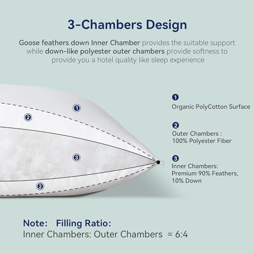 Goose-Feather-Down-Pillows-Queen-Size-Set-of-2-Luxury-Soft-Feather-Down-Pillow-for-Sleeping-Hotel-Quality-Bed-Pillows-Wrapped-in-Polyester-Solid-White-20×30-Inches Goose Feather Down Pillows Queen Size Set of 2 Luxury Soft Feather Down Pillow for Sleeping Hotel Quality Bed Pillows Wrapped in Polyester Solid White 20×30 Inches