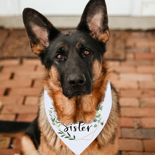 Soon to Be Big Sister Hundehalstuch, weißes Haustier-Schal, Schwangerschaftsankündigung, Hunde-Bandana, Baby-Hund, Geschlechtsoffenbarung, Foto-Requisiten, Zubehör
