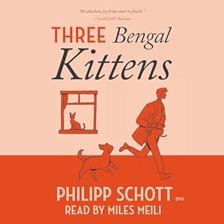 Three Bengal Kittens cover art