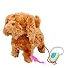 ColorBaby 44193 Chien RC avec Son Gogo Friends Multicolore