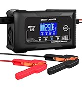 HTRC 25-Amp Smart Battery Charger,Lithium,LiFePO4,Lead-Acid AGM/Gel/SLA.. Car Battery Charger,Tri...