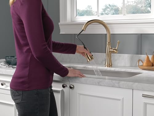 Delta Faucet Cassidy Gold Kitchen Faucet, Kitchen Faucets with Pull Down Sprayer, Kitchen Sink Faucet, Gold Faucet for Kitchen Sink with Magnetic Docking, Lumicoat Champagne Bronze 9197-CZ-PR-DST - image 2