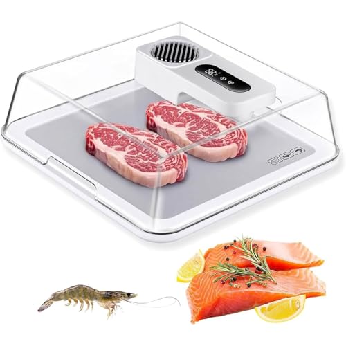 Vassoio elettrico per scongelamento con coperchio trasparente, contenitore per scongelamento della carne da 4,2 L, scongelatore intelligente ricaricabile con tecnologia Airflow per bistecca, pollo