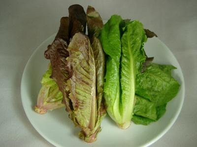 Fresh Picked Baby Green Romaine Lettuce - 3 Count of 2 lb Average Cases, Crisp and Slightly Bitter, Restaurant Quality, Versatile Use