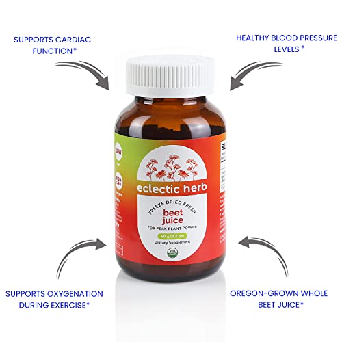 ECLECTIC INSTITUTE Raw Fresh Freeze-Dried Beet Juice Powder | 3.2 oz
