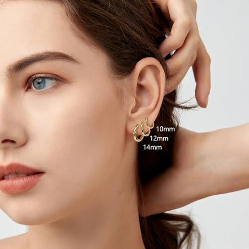 LOMISS ARGOLINHA DETALHE TORCIDO BANHADO A OURO 18K BRINCO (Dourado, MÉDIO)