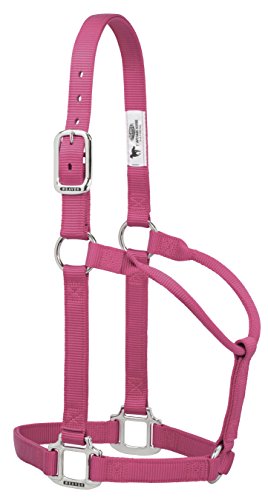 Weaver Leather Original Non-Adjustable Nylon Halter