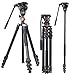 Produktbild Cayer Professionelles Video Stativ Einbeinstativ Kit, AF2451 67-Zoll-Aluminium-Teleskop-Flip-Lock-Stativ mit H4-Fluidkopf und Abnehmbarer Stativbasis für DSLR-Kameras und Camcorder