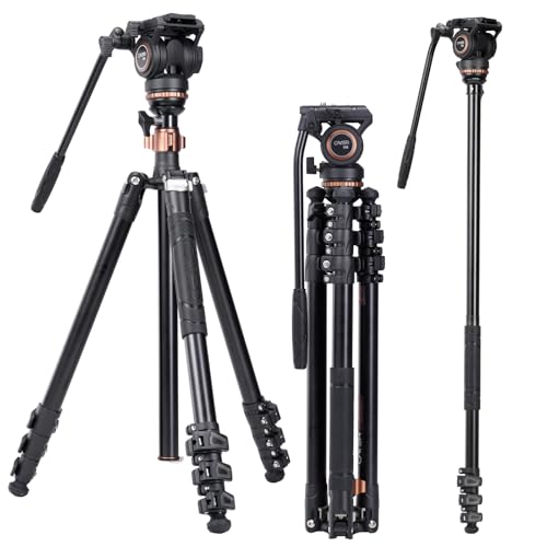 Cayer AF2451 Treppiede video, videocamera in lega di alluminio da 74 pollici per Canon Nikon Sony...