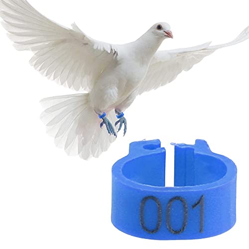 100 bagues numérotées 8MM plastique pigeon 001-100 bleu