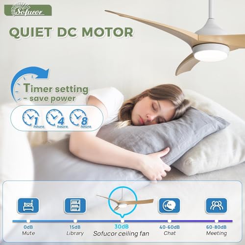 Image of Sofucor 52 Inch Modern Ceiling Fan with Light, 3 ABS Blades