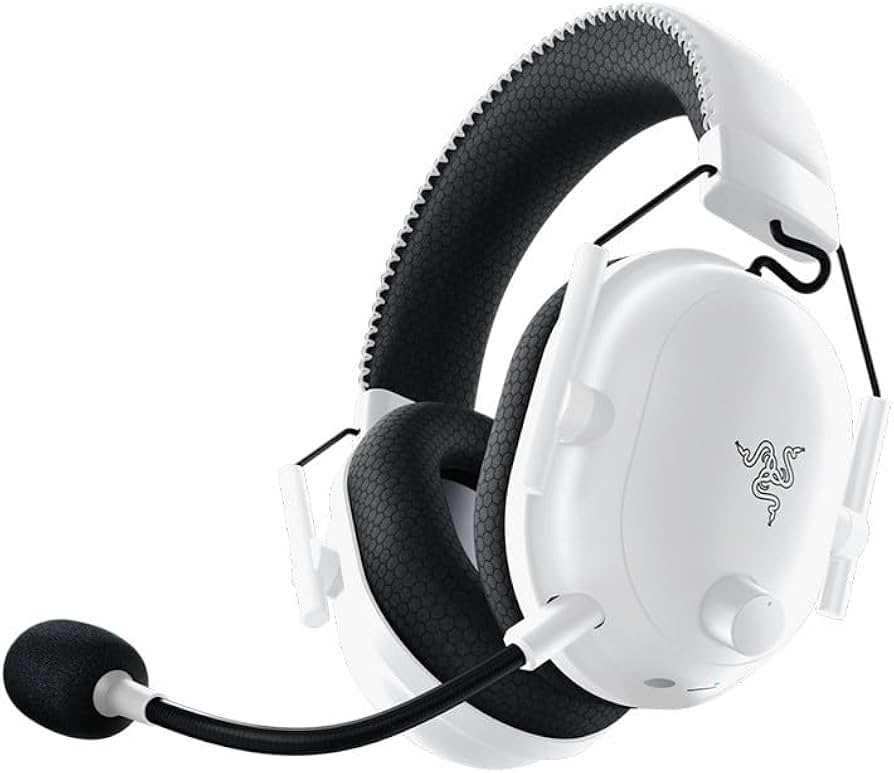 41Wl-R-outL._AC_UF894,