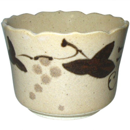 Amazon.com | Arita yaki CtoC JAPAN Bowl Pottery Size(cm) Diameter
