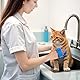 oruola Pfotenstern Bürste,2 Stück Silikonkautschuk Haustier Badebürsten mit verstellbarem Ringgriff,Gummi Dusche Bürste für Hunde und Katzen,Massage und Fell Reinigung,Blau und Grüner