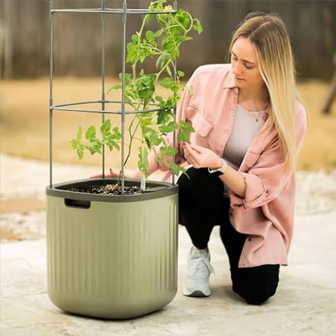 Vego Garden Tomato Planter Box Cover