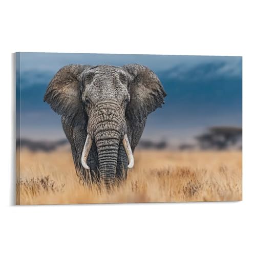 Toile éléphant contre mur vide décoration chambre et salon 40x60cm